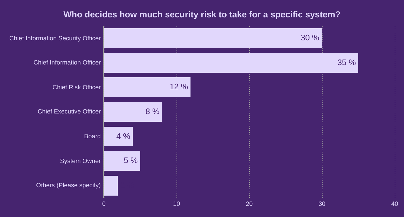Who decides how much security risk to take for a specific system?
