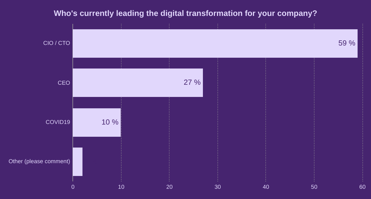 Who's currently leading the digital transformation for your company?