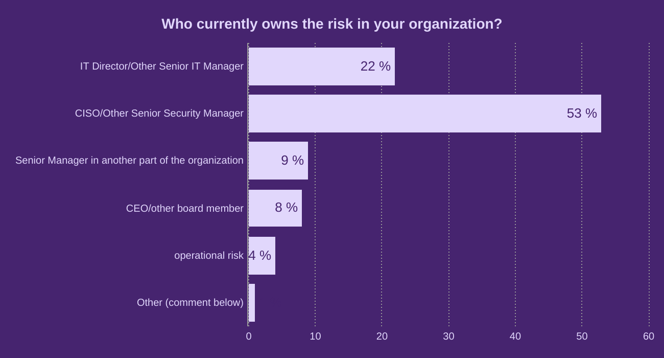 Who currently owns the risk in your organization?