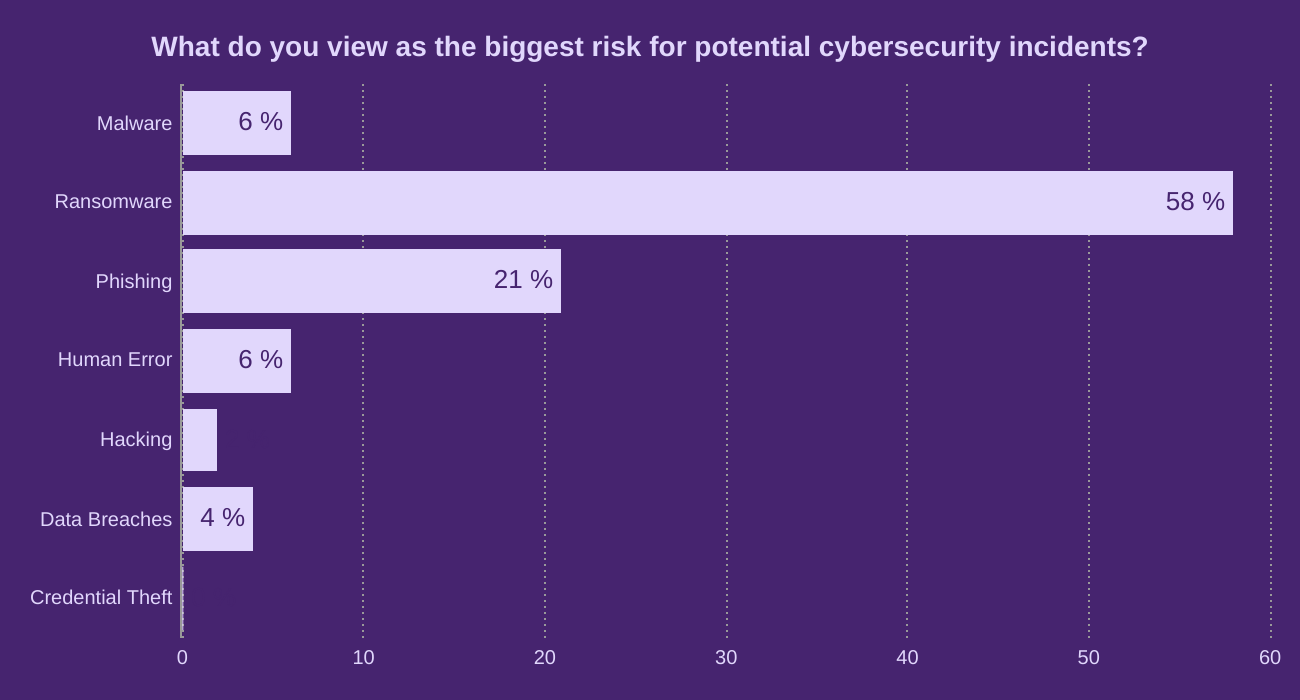 What do you view as the biggest risk for potential cybersecurity incidents?